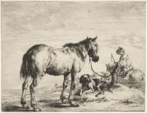 Horse Bound to a Post