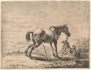 Rearing Horse near a Stable
