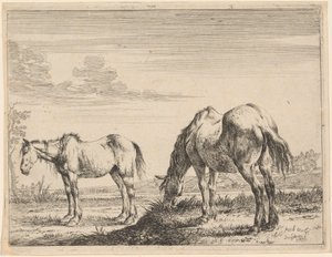 Two Grazing Horses by Dirck Stoop