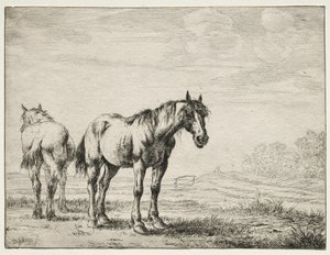 Two Plough Horses by Dirck Stoop