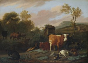 Animalia