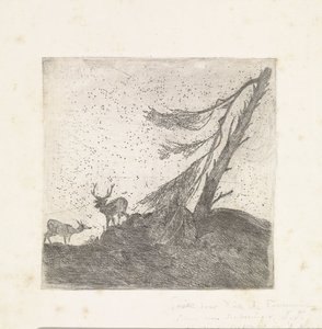 Two Deer by a Pine Tree by Dirk Arnoldus Tavenraat
