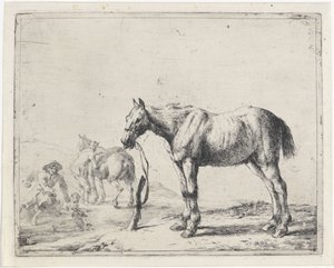 Horse Tied to a Post Facing Left by Dirk Stoop