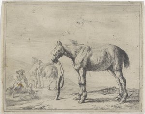Horse tied to a post facing left by Dirk Stoop
