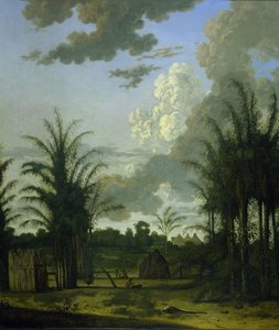 Plantation in Suriname