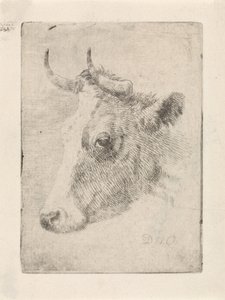 Head of a Bull