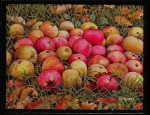Durnitzhofer Apples, 1993 by Ditz