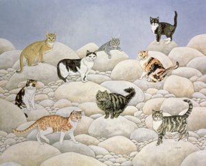 Lynn Valley Cats by Ditz