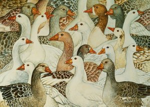 Patchwork Geese