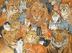 Semi Wild Cat Spread