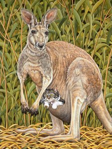 The Kangaroo-Cat by Ditz Ditz