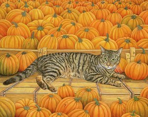 The Pumpkin-Cat