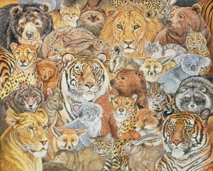 The Wild Bunch