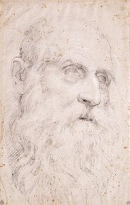 The Head of Saint Jerome
