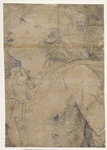 Upward Looking Youth, (Half Figure), Fragment of a Cartoon? by Domenico Beccafumi