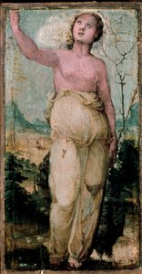 Female Figure