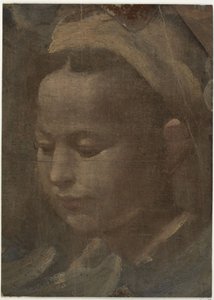 Head of a Young Woman by Domenico Beccafumi