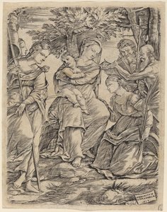The Virgin and Child with Saints by Domenico Campagnola