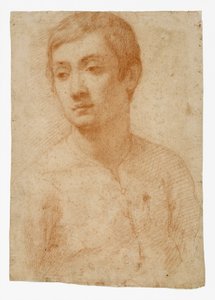 The Head of a Youth by Domenico Cresti