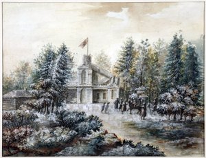 Krak House in Pavlovsk