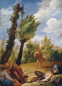 The Parable of the Wheat and the Tares, 1620s