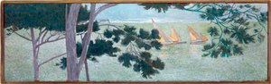 Pine Trees by the Sea