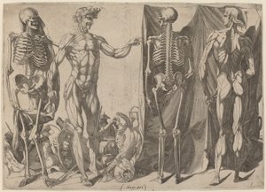 Skeletons and Flayed Figures