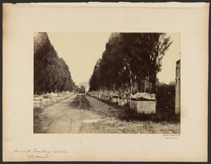 Ancient Cemetery of Arles, Alyscamps