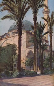 Palestine