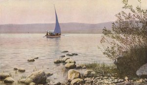 Palestine by Donald McLeish