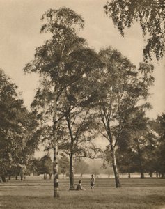 The Lace-Work of the Leaves: A Summer Morning in Hyde Park by Donald McLeish