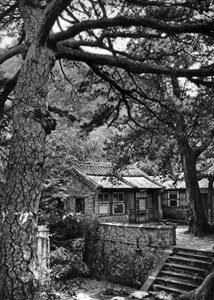 Western Hills, Haidan District, Beijing by Donald Mennie