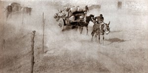 Wind storm, Beijing by Donald Mennie