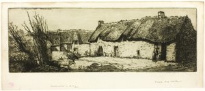 Farm with Cows