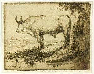 The White Ox by Donald Shaw MacLaughlan