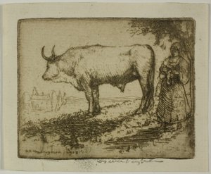 The White Ox