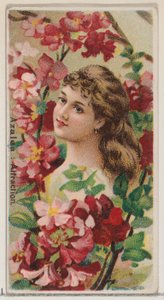 Azalea: Attraction, from the series Floral Beauties and Language of Flowers N75 for Duke, 1892