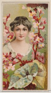 Begonia: Originality, from the series Floral Beauties and Language of Flowers N75 for Du..., 1892