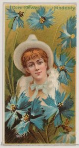 Cornflower: Modesty, from the series Floral Beauties and Language of Flowers N75 for Duk