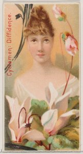 Cyclamen: Diffidence, from the series Floral Beauties and Language of Flowers N75 for Duke, 1892
