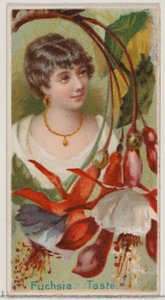 Fuchsia: Taste, from the series Floral Beauties and Language of Flowers N75 for Duke brand, 1892 by Donaldson Brothers