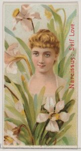 Narcissus: Self Love, from the series Floral Beauties and Language of Flowers N75 for Duke