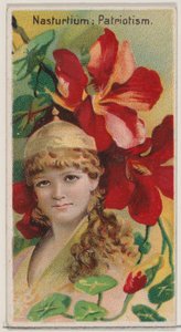 Nasturtium: Patriotism, from the series Floral Beauties and Language of Flowers N75, 1892