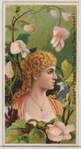 Sweet-Peas: Goodbye Sweetheart!, from the series Floral Beauties and Language of Flowers