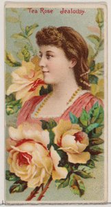 Tea Rose: Jealousy, from the series Floral Beauties and Language of Flowers N75 for Duke, 1892