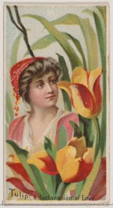 Tulip: A Declaration of Love, from the series Floral Beauties and Language of Flowers N75, 1892