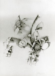 Butterflies or The Man Who Was Afraid of Butterflies by Donatella Merlo