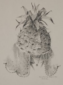 Pineapple by Donatella Merlo