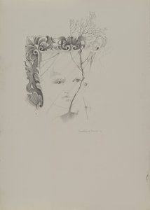 Portrait in the Mirror