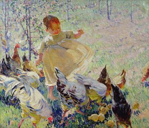 Feeding the Chickens